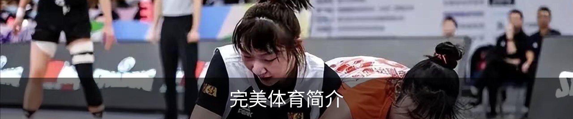 完美体育简介
